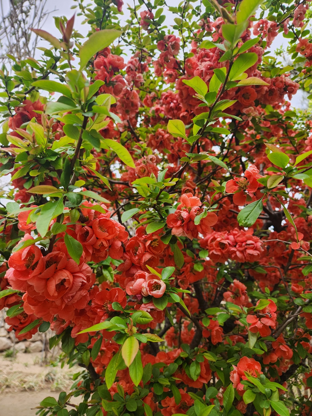 ce98c48be3d0b9167e57339b822b5bce_1777184933_9942.jpg