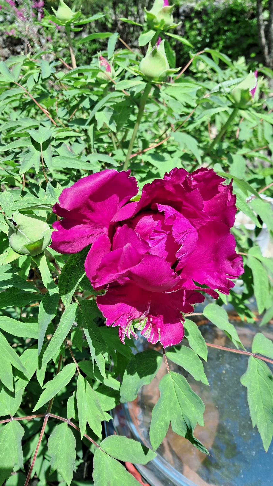 ce98c48be3d0b9167e57339b822b5bce_1777185066_3417.jpg